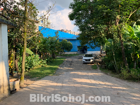 Factory/ Warehouse Industrial Shed for Rent